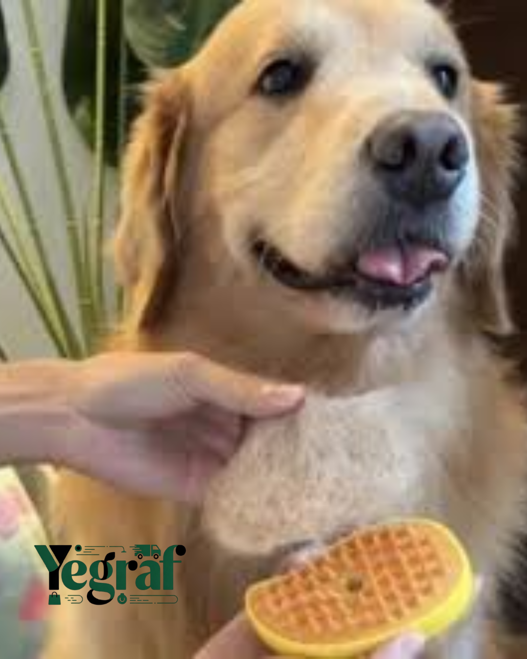CEPILLO A VAPOR PARA TU MASCOTA
